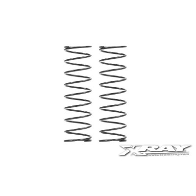 REAR SPRINGS C 0.40 (2)