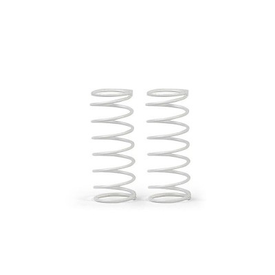 FRONT SPRING SET C-0.65 –...